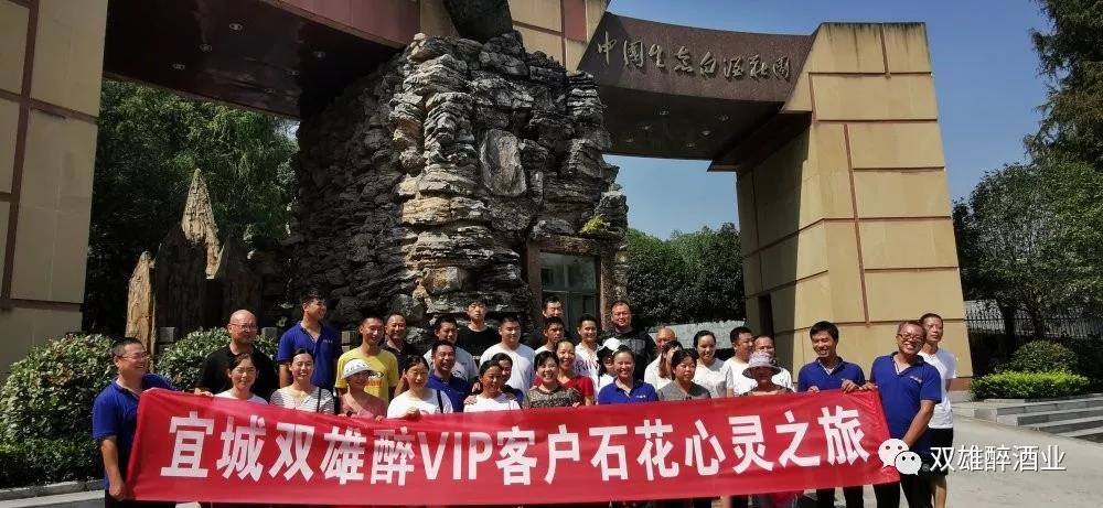 活力四射，宜城客戶的心靈之旅